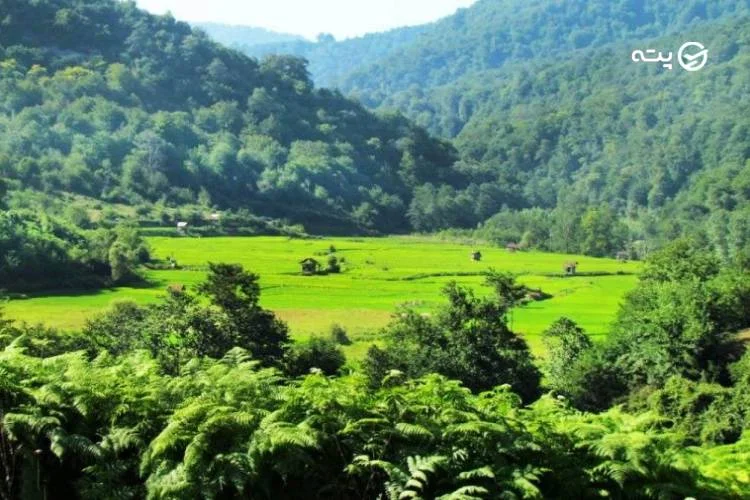 روستای جمشیدآباد