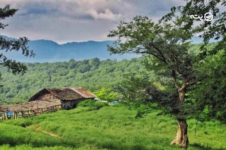 ییلاق هالیدشت کجاست؟