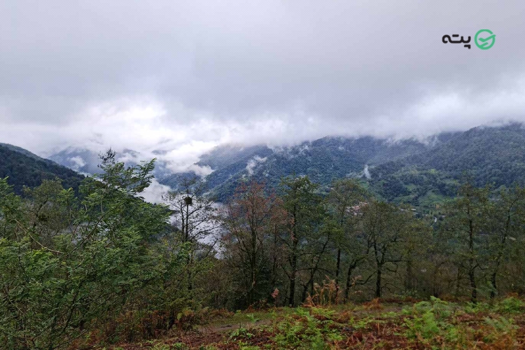 هالیدشت مقصدی خاص در گیلان