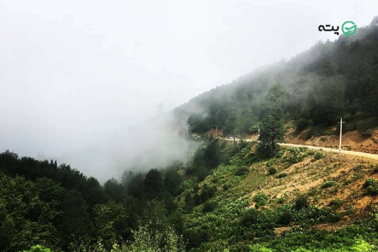 مسیر دسترسی به ییلاق هالیدشت