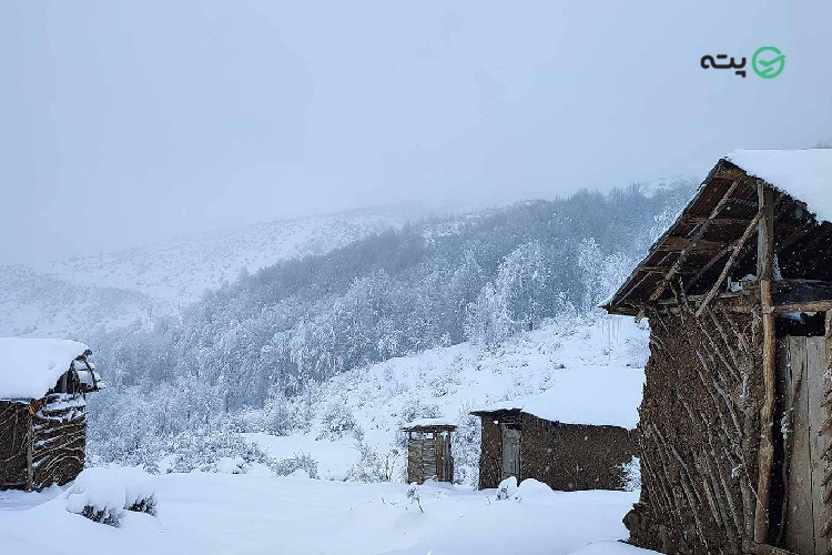 بهترین زمان سفر به هالیدشت