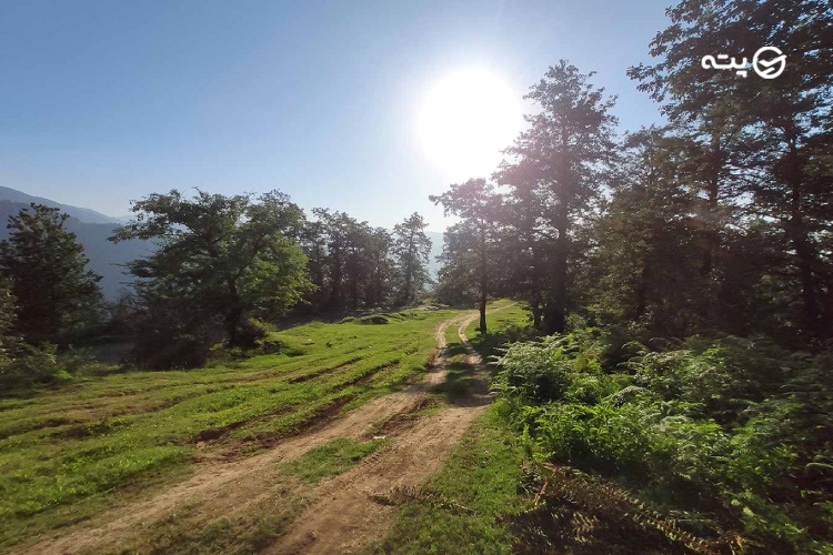 هالیدشت برای چه کسانی مناسب است؟