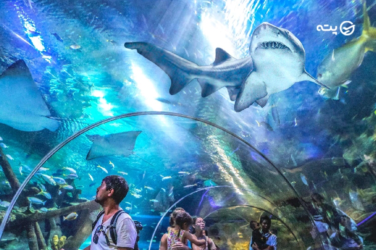 آکواریوم KLCC