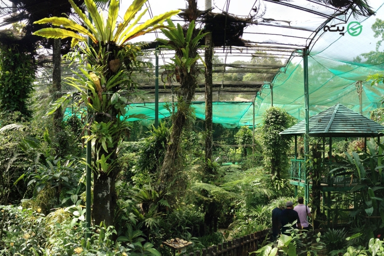 پارک پروانه کوالالامپور 