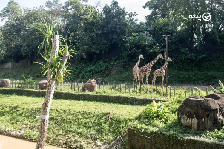 باغ‌وحش ملی مالزی