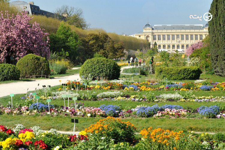 باغ گیاهان پاریس (Jardin des Plantes)