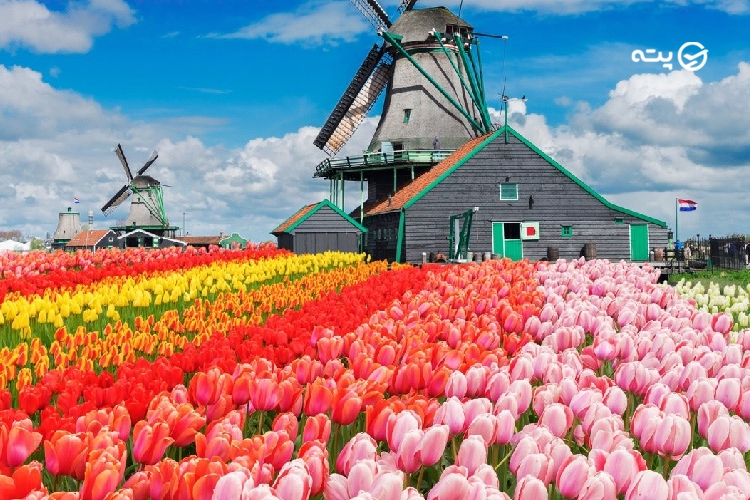 جاهای دیدنی هلند