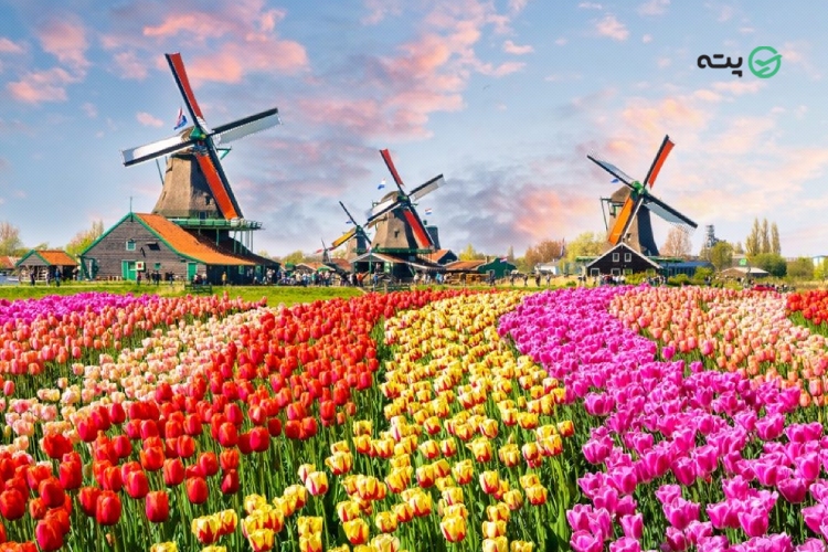 جاهای دیدنی هلند