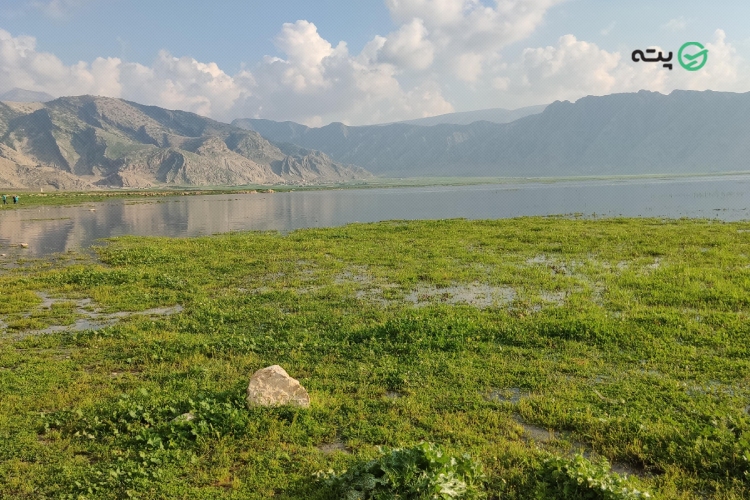 تالاب بندون از جاهای دیدنی خوزستان