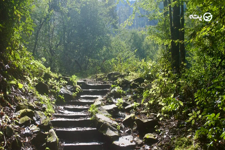 پارک جنگلی هزار پله رامسر (پارک ایل میلی)