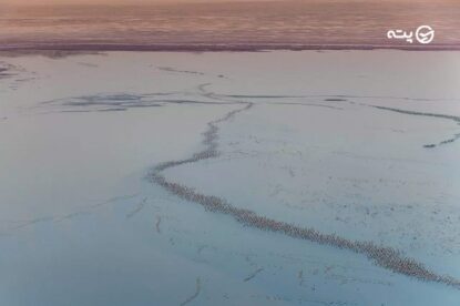 دریاچه مهارلو کجاست؟ | زمان سفر و مسیر دسترسی به طبیعی در شیراز