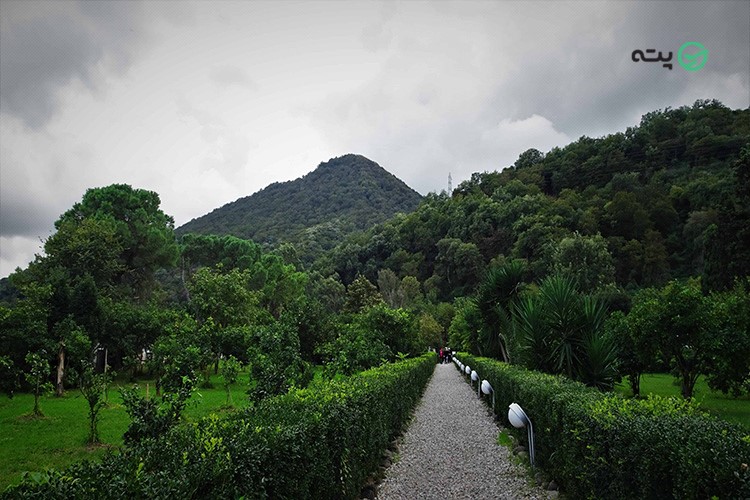 آب و هوای رامسر