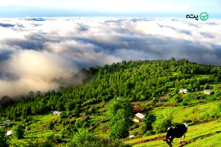 مازندران کجاست؟