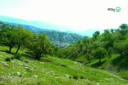 راهنمای سفر به ایلام | هر آنچه برای برنامه ریزی یک سفر باید بدانید!
