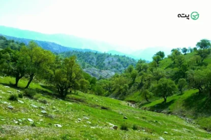 راهنمای سفر به ایلام | هر آنچه برای برنامه ریزی یک سفر باید بدانید!