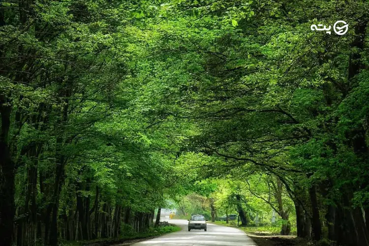 جاهای دیدین محمودآباد