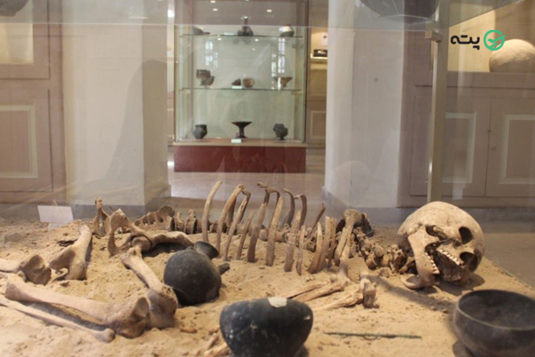 موزه شاهرود