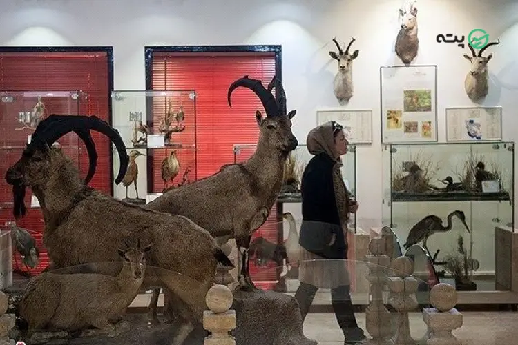 موزه پارک ملی