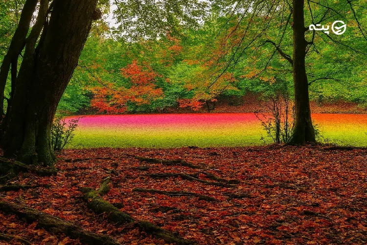 بهترین زمان سفر به مرداب هسل