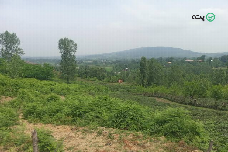 روستای دستخط محله