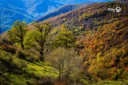 جاهای دیدنی اهر | راهنمای کامل سفر به پایتخت طبیعت و تاریخ ارسباران
