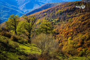 جاهای دیدنی اهر | راهنمای کامل سفر به پایتخت طبیعت و تاریخ ارسباران